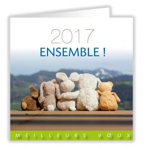 glbe-image-voeux-2017-peluches